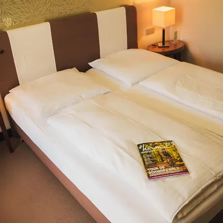 Hotel Ritter Durbach-2